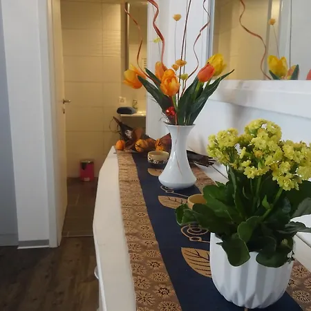 Apartment Sahhy Interlaken